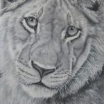Wz 1072 - Shaquan --- Zeichnung, Polychromos, Lwd | 145 x 110 cm, 2016