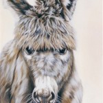 Wz 655 Leonhard --- Zeichnung, Lwd | 120 x 90 cm, 2002 Privatbesitz