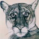 Wz 659 Vitus --- Zeichnung, Lwd | 120 x 90 cm, 2002 Privatbesitz