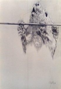 Wz 0086 Fallstudie --- Bleistift, Papier | 51 x 40 cm, 1986 --- Graphothek Berlin