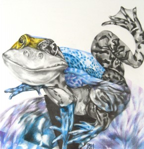 Wz 1033 Frosch 3 --- Zeichnung, Papier | 37 x 36.5 cm, 2014 Privatbesitz