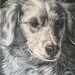 Wz 1095 Lucky---
Bleistiftzeichnung, Lwd | 60 x 50 cm, 2018
Private Sammlung