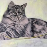 Wz 1088 Stubentiger-
Bleistift, Polychromes, Lwd | 65 x 125 cm, 2017
Private Sammlung