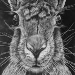 Wz 1110 Meister Albrecht---
Bleistiftzeichnung, Lwd | 120 x 90 cm, 2019