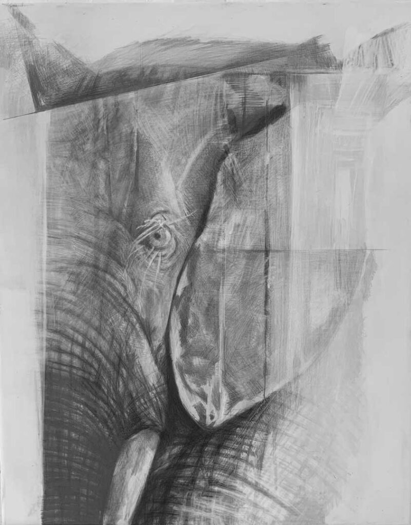Wz 1142 – Kiano---
Bleistiftzeichnung, Lwd | 50 x 40 cm, 2024