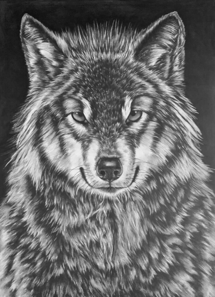 Wz 1132 – Amadeus Bleistiftzeichnung, Lwd| 130 x 95 cm, 2021/22